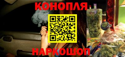 дмт Можга