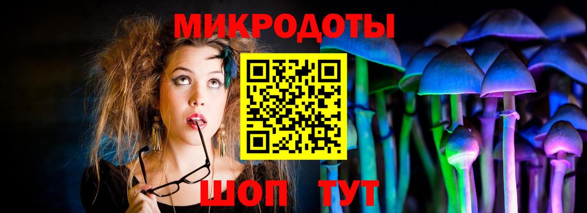 Псилоцибиновые грибы Cubensis Шали