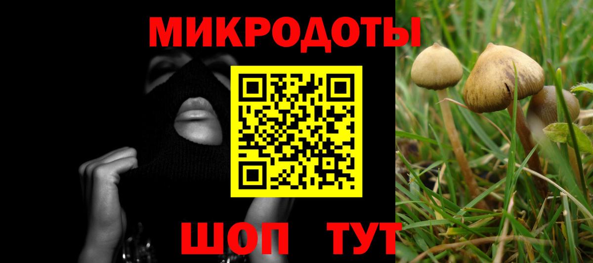 Галлюциногенные грибы мухоморы  Галлюциногенные грибы Magic Shrooms  Вход с VPN  что такое наркотик  Шали 