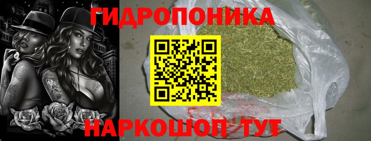 Канабис OG Kush Шали